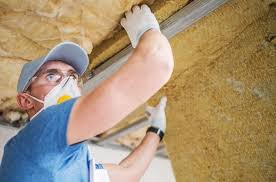 Best Insulation Removal  in USA